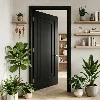 Raised-relief Door